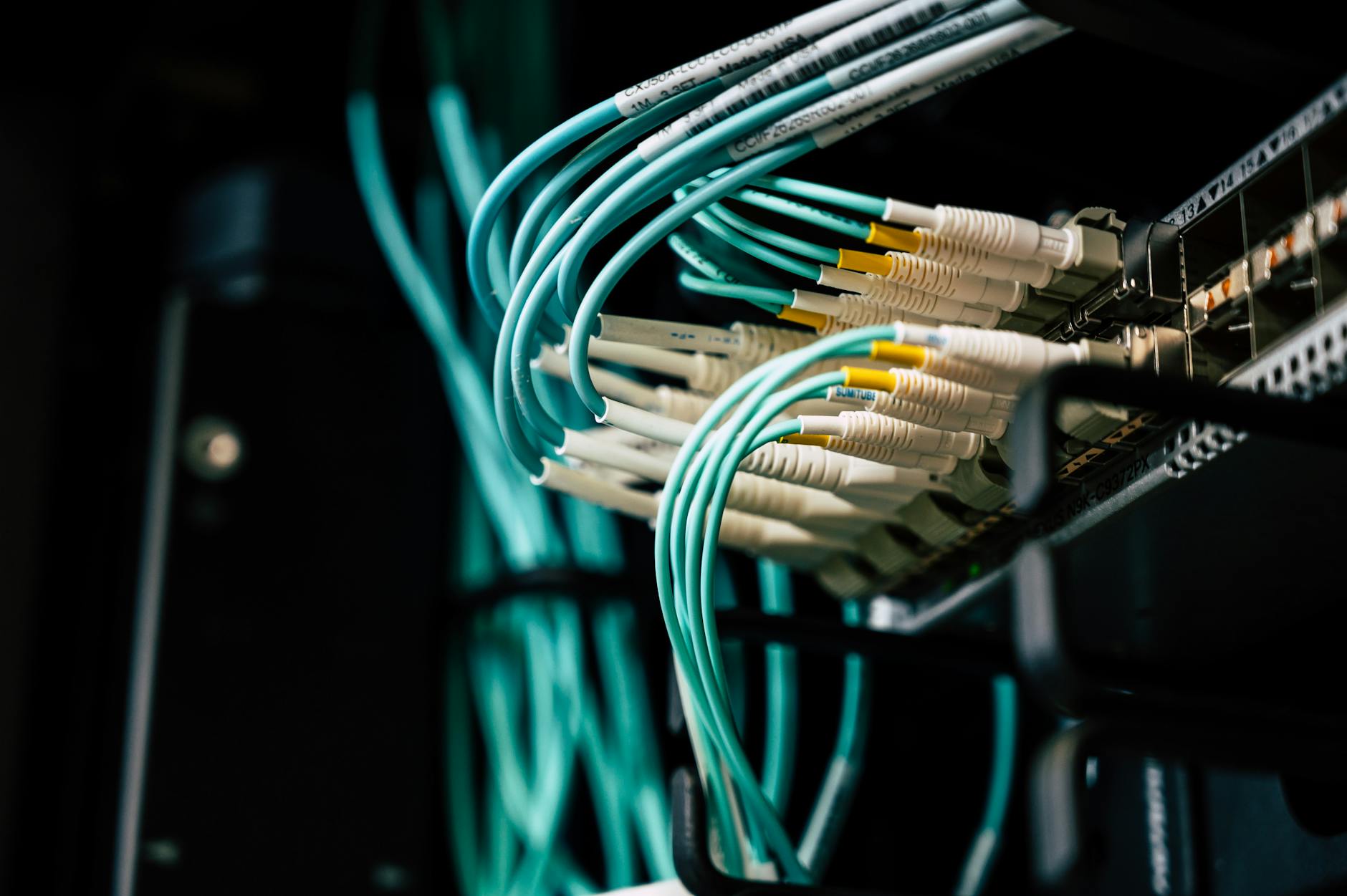 Network cabling in a rack, representing AWS networking costs.